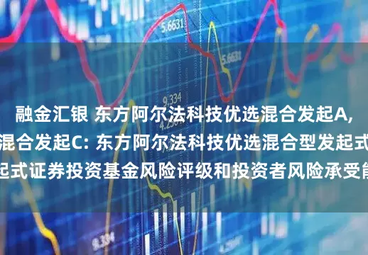 融金汇银 东方阿尔法科技优选混合发起A,东方阿尔法科技优选混合发起C: 东方阿尔法科技优选混合型发起式证券投资基金风险评级和投资者风险承受能力说明(2025年5月)