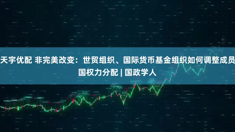 天宇优配 非完美改变：世贸组织、国际货币基金组织如何调整成员国权力分配 | 国政学人